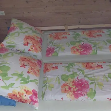 Petra Apartman Kössen